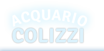 Acquario Colizzi - negozio online di prodotti per piscine